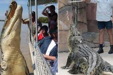 Thót tim trước những công việc nguy hiểm nhất hành tinh