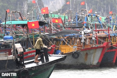 Đảo đá trên Vịnh Hạ Long bảo vệ tàu thuyền tránh bão Talim