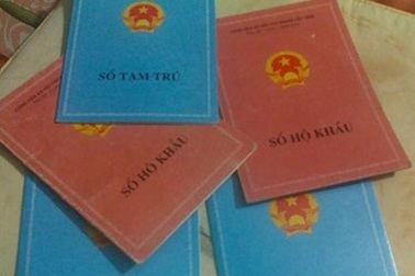 Có nhập khẩu được vào nhà ông bà ngoại?