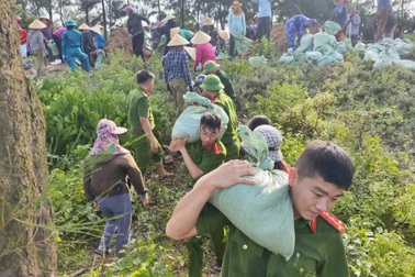 Huy động hơn 400 người gia cố bờ biển ở Đan Hải trước bão số 5