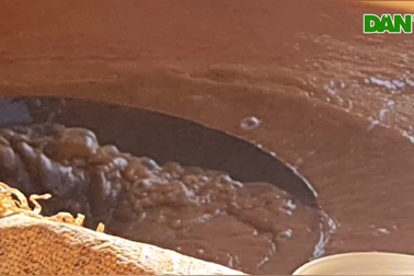 Người dân Quỳ Hợp vật vã mưu sinh trên thủ phủ quặng