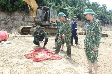 Dốc tổng lực tìm kiếm các công nhân mất tích tại Rào Trăng