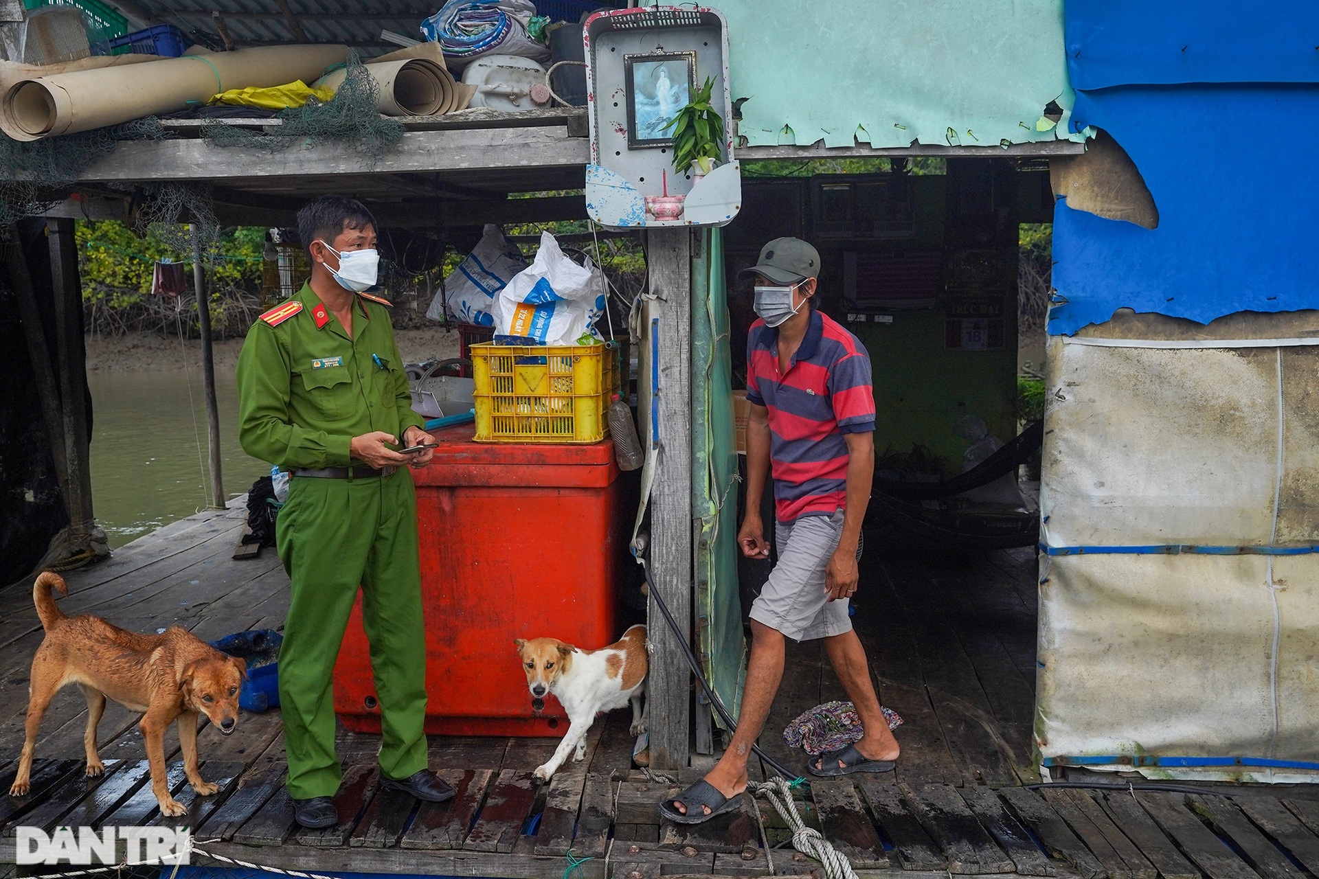 Trắng đêm bảo vệ vùng xanh trên biển tại xã đảo duy nhất ở TPHCM - 10 Trắng đêm bảo vệ vùng xanh trên biển tại xã đảo duy nhất ở TPHCM - 10