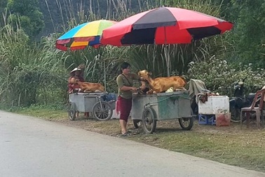 Chính quyền manh tay dẹp, “thịt dê bụi bẩn” vẫn bán tràn lan ở Tràng An
