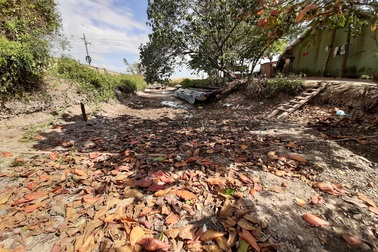 Sóc Trăng công bố tình huống khẩn cấp do hạn, mặn