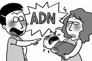 Hi hữu vụ người đàn ông kiện... đòi cha