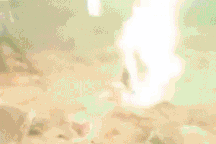 Công an thông tin vụ du khách đốt pháo hoa giữa rừng ở Lai Châu