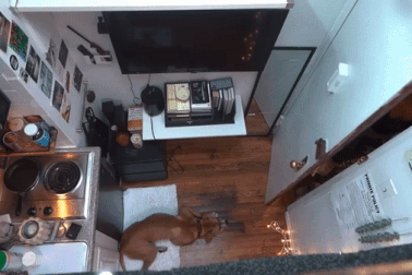 Có gì bên trong căn hộ hơn 7m2 chỉ to bằng chỗ đậu xe, thiếu cả nhà vệ sinh