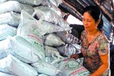 Móc cống ra… vàng! 