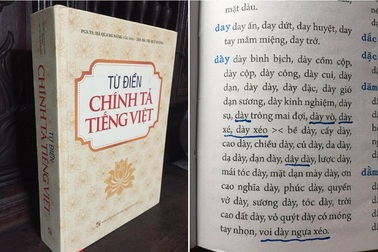 “Từ điển chính tả”... sai chính tả vẫn chưa được thu hồi?