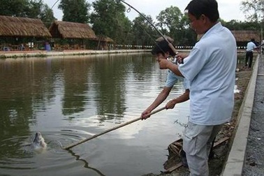 Kinh doanh câu cá: Mơi khách bằng cả mại dâm