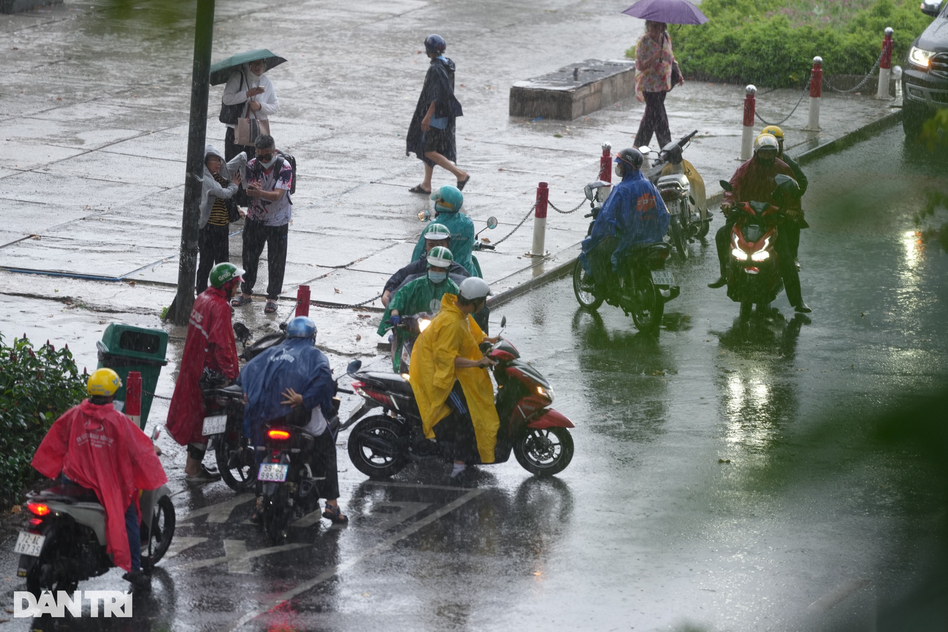 Cơn mưa vàng giải nhiệt cho TPHCM sau những ngày nắng nóng - 6 Cơn mưa vàng giải nhiệt cho TPHCM sau những ngày nắng nóng - 6