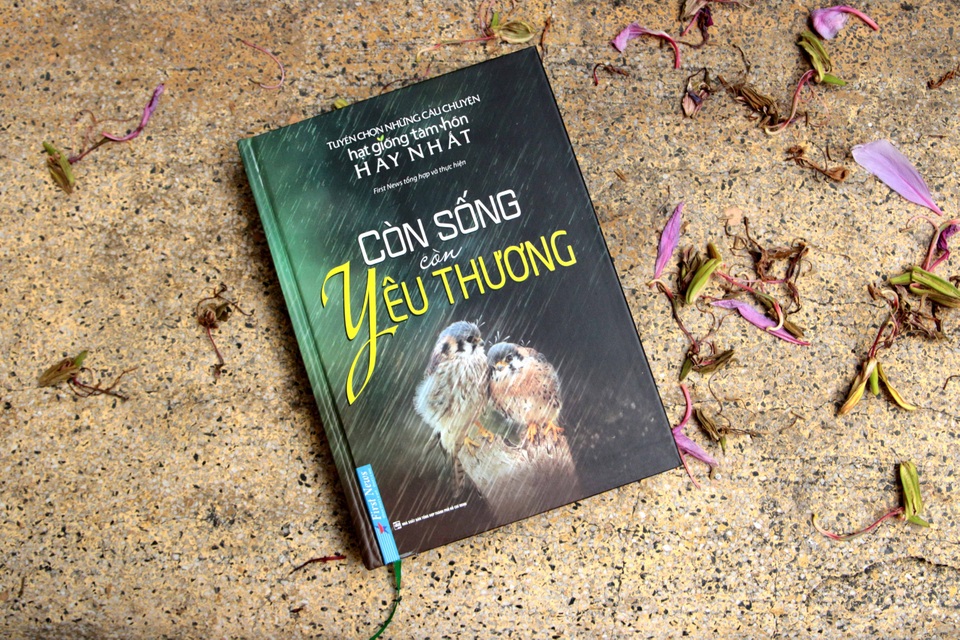 Còn sống còn yêu thương: Tình yêu trong chiếc hộp (kỳ 1) - 3 Còn sống còn yêu thương: Tình yêu trong chiếc hộp (kỳ 1) - 3