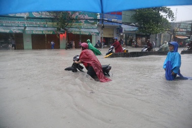 Sài Gòn ngập khắp nơi, cây đổ đè người đi đường tử vong