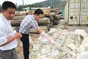 Nhập phế liệu gây ô nhiễm, một doanh nghiệp bị phạt 100 triệu đồng