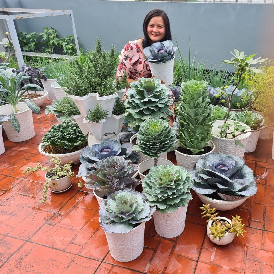 Trang trại rau 100m2 toàn giống lạ trên sân thượng của cô gái Bình Dương - 15 Trang trại rau 100m2 toàn giống lạ trên sân thượng của cô gái Bình Dương - 15