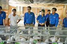 Khởi nghiệp với 7 chữ T