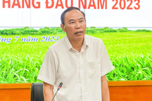 Việt Nam góp phần đảm bảo an ninh lương thực cho thế giới