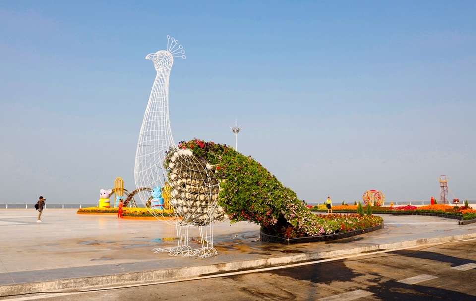 Đường hoa xuân rực rỡ nơi xứ biển Tây Nam - 9 Đường hoa xuân rực rỡ nơi xứ biển Tây Nam - 9