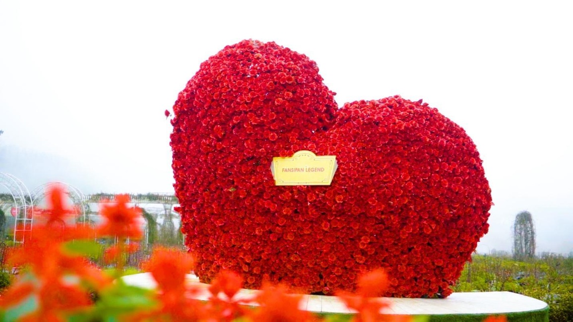 Du khách đến Fansipan ngắm hoa, bái Phật - 3 Du khách đến Fansipan ngắm hoa, bái Phật - 3