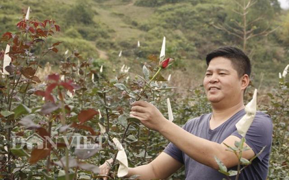 Bỏ phố lên núi trồng hoa, trai Hà Nội kiếm nửa tỷ đồng mỗi năm - 1 Bỏ phố lên núi trồng hoa, trai Hà Nội kiếm nửa tỷ đồng mỗi năm - 1