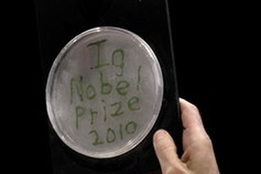 10 phát minh “cười vỡ bụng” nhận giải Ig Nobel 
