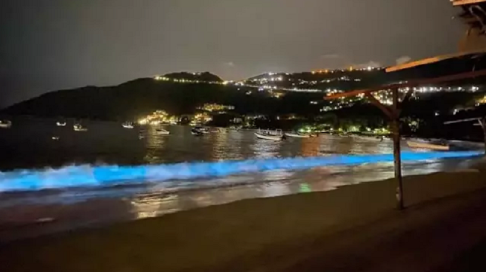 Nước biển Mexico phát ra ánh sáng xanh huyền ảo trong đêm - 2 Nước biển Mexico phát ra ánh sáng xanh huyền ảo trong đêm - 2