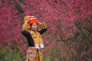 Rực sắc đào nơi biên giới, Lạng Sơn mở hội đón du khách suốt 2 tháng