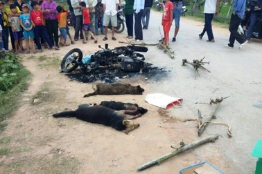 Khởi tố vụ án hai thanh niên nghi trộm chó bị đánh thương vong