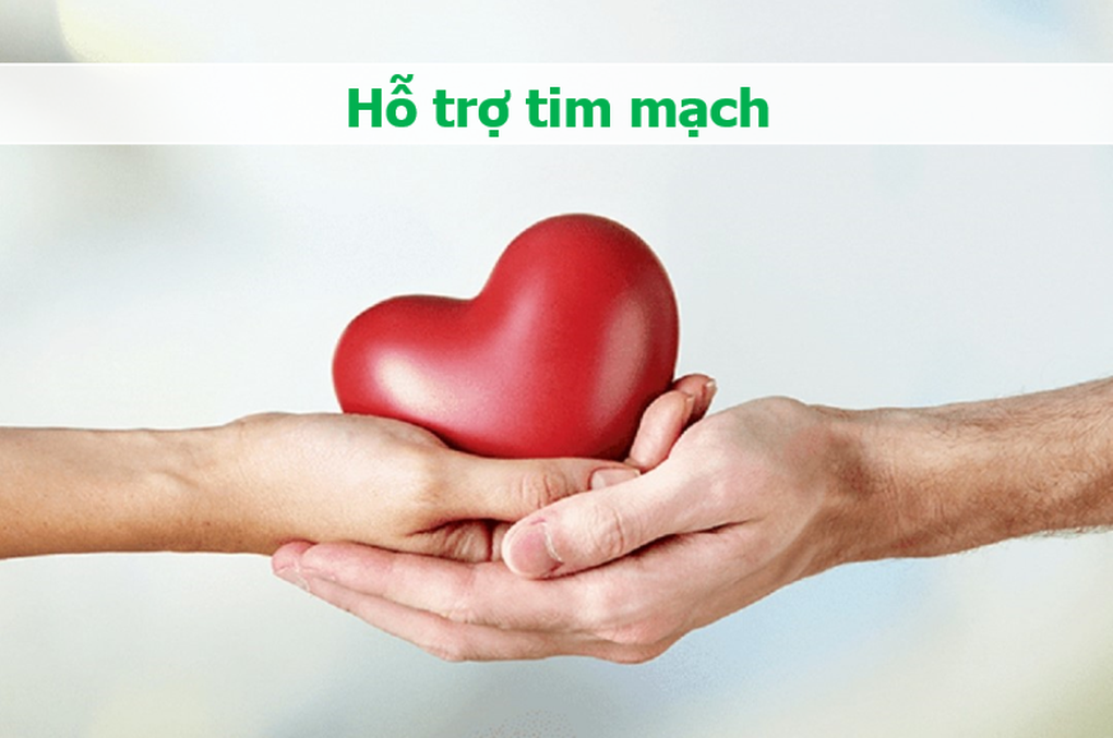 Phần hay bỏ đi khi ăn thịt gà lại đặc biệt tốt cho xương khớp, tim mạch - 4 Phần hay bỏ đi khi ăn thịt gà lại đặc biệt tốt cho xương khớp, tim mạch - 4