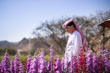 Nhân viên ngân hàng về hưu tạo vườn hoa rực rỡ giữa mảnh đất nắng, gió