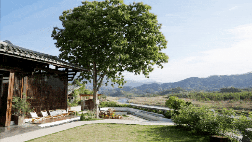 Vợ chồng nghỉ việc về quê, cải tạo nhà cổ thành nơi sống giữa thiên nhiên - 5