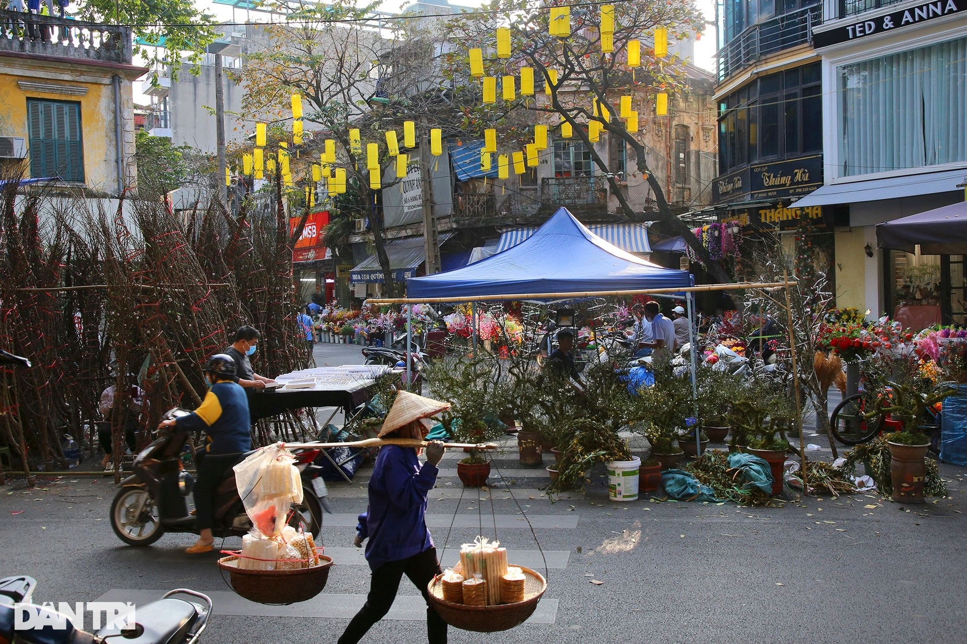 Chợ hoa Hàng Lược mang không khí Tết đặc trưng đất Hà Thành - 15 Chợ hoa Hàng Lược mang không khí Tết đặc trưng đất Hà Thành - 15