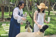 Cần Thơ: Tiềm năng du lịch lớn, cần đột phá để níu chân du khách