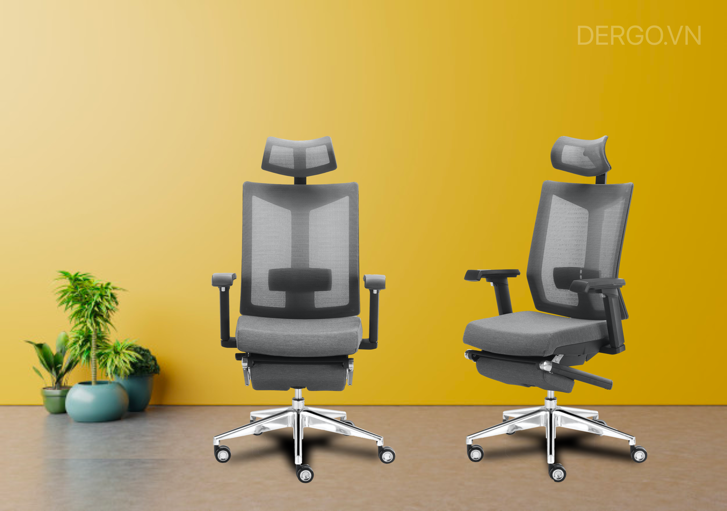 Work From Home cùng nội thất sức khỏe D’ERGO - 3