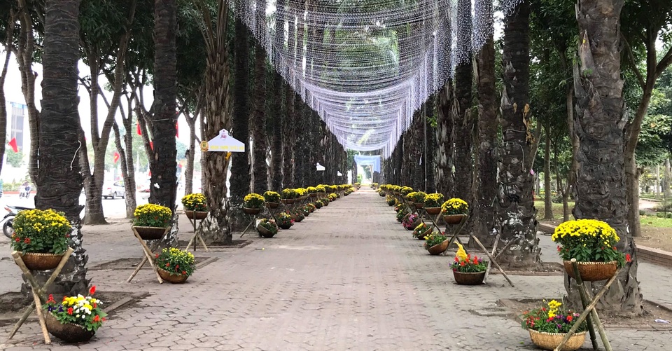 Người dân đổ xô đến chụp hình lưu niệm con đường hoa ở thành Vinh - 20