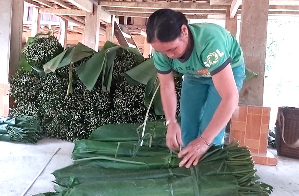 Thanh Hoá: Cận Tết, nhiều cụ bà gần 70 tuổi vẫn băng rừng, lội suối hái lá dong - 8 Thanh Hoá: Cận Tết, nhiều cụ bà gần 70 tuổi vẫn băng rừng, lội suối hái lá dong - 8