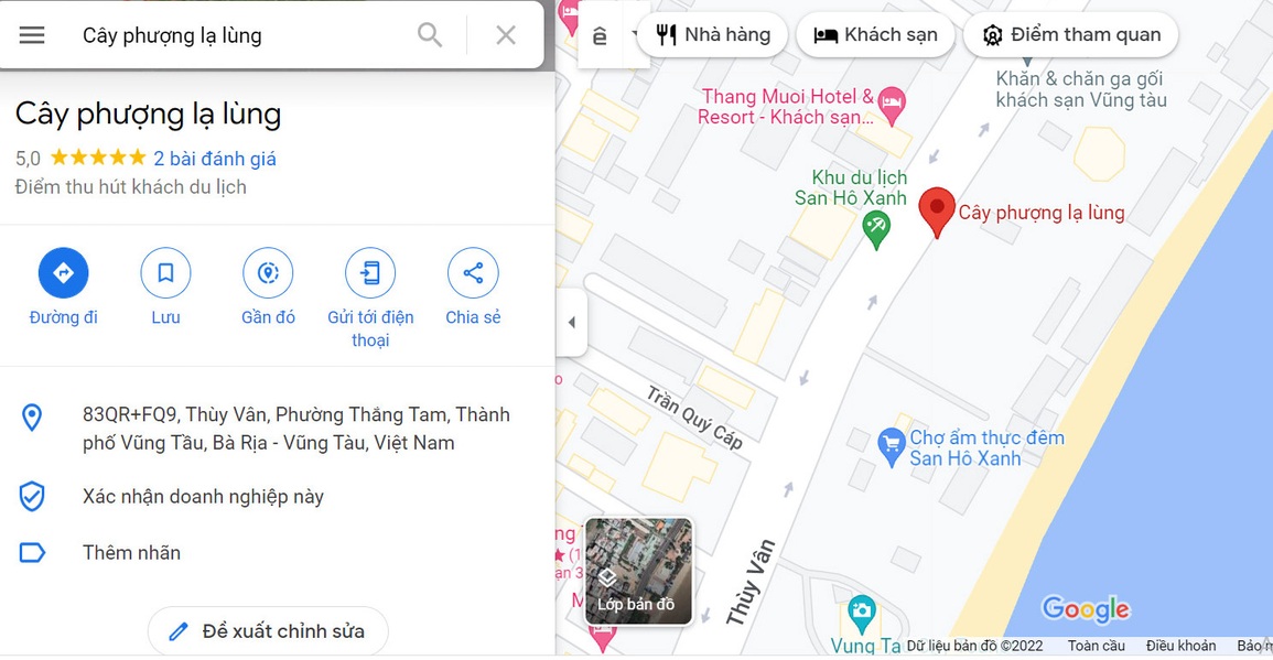 Cây phượng gây bão mạng hút đoàn người xếp hàng chờ check-in giữa trưa - 10 Cây phượng gây bão mạng hút đoàn người xếp hàng chờ check-in giữa trưa - 10
