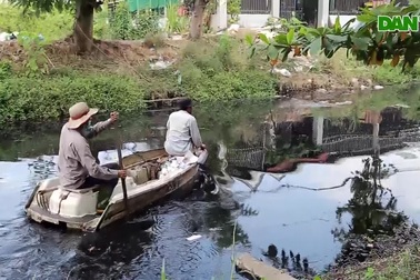 Ông lão "điên" hơn 3 năm đi vớt rác giữa dòng kênh đen