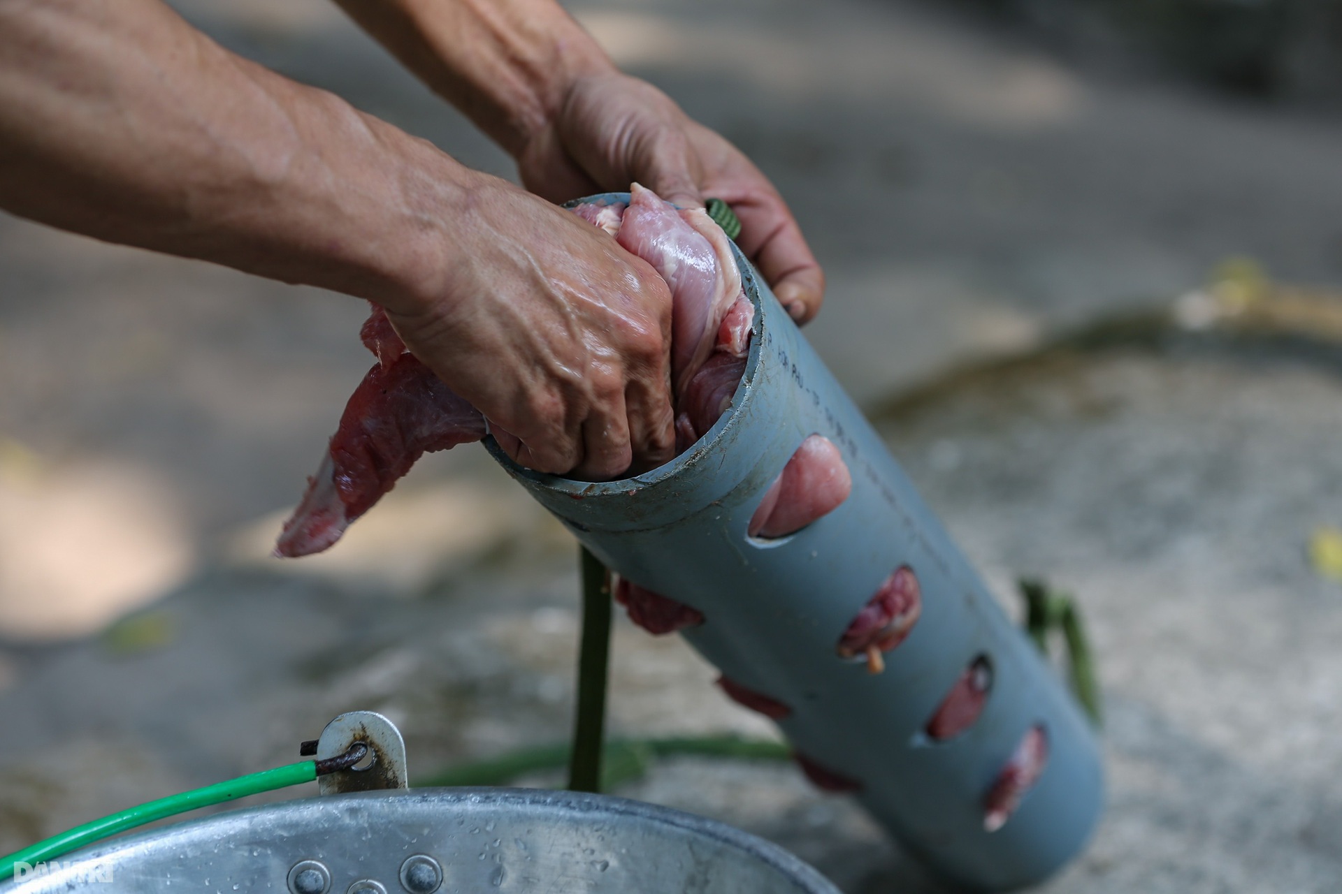 Người cha nuôi của chúa sơn lâm ở Thảo Cầm Viên Sài Gòn - 12 Người cha nuôi của chúa sơn lâm ở Thảo Cầm Viên Sài Gòn - 12