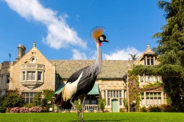 Những hình ảnh cuối cùng căn biệt thự xa hoa của ông chủ Playboy