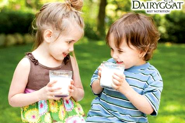 Sữa dê và những điều mẹ chưa biết