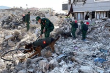 Quân đội Việt Nam bắt đầu cứu hộ, cứu nạn tại Thổ Nhĩ Kỳ