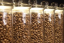 Bảo quản cà phê trong những ngày thời tiết ẩm thấp