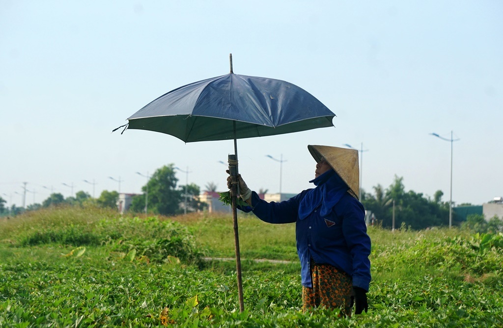 Người lao động vật lộn trong chảo lửa miền Trung - 11 Người lao động vật lộn trong chảo lửa miền Trung - 11