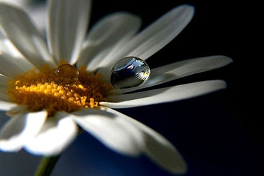 Mẹ là tình yêu lớn nhất