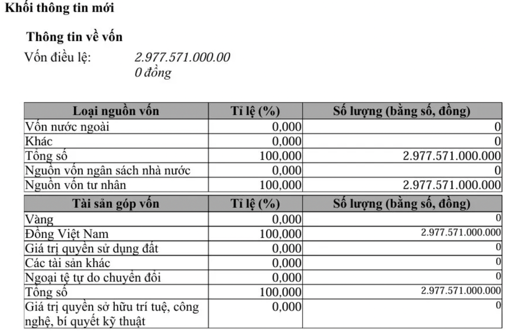 Công ty hàng không Masterise tăng vốn thần tốc lên 40.300 tỷ đồng - 1
