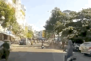 Tai nạn bất ngờ vì chó thả rông
