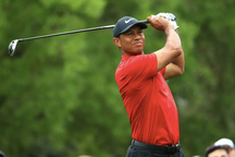 Tiger Woods đồng ý tham dự giải golf danh giá nhất thế giới