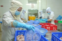 Đi làm trở lại, người lao động tại TPHCM ứng phó như thế nào với 4 "xanh"?